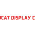 wildcat-display-header