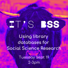 BSS database workshop