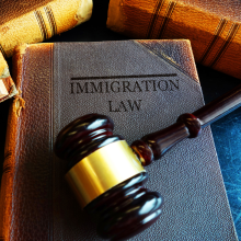 Immigration law book with gavel