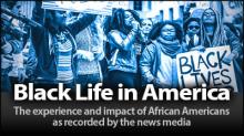 Black Life in America database image
