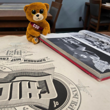 Cali the "ILL" Bear in Special Collections