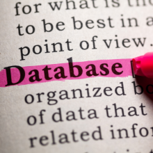 Databases Databases